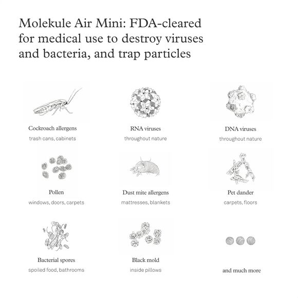 Molekule Air Mini - FDA-Cleared Medical Air Purifier with PECO Technology - Picture 5 of 10